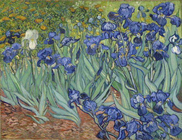 "Irises," 1889, Vincent van Gogh. Oil on canvas, 29 1/4 x 37 1/8 in. The J. Paul Getty Museum.